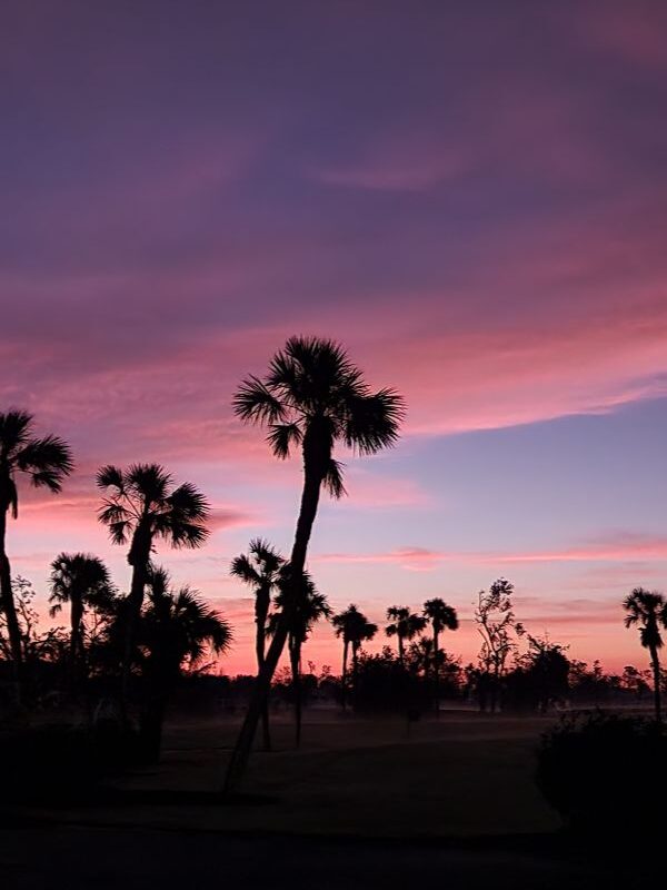 Beautiful course views and holes at Rotonda Golf & Country Club located in Southwest Florida