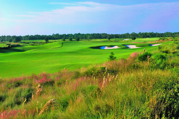 Golf Club of the Everglades