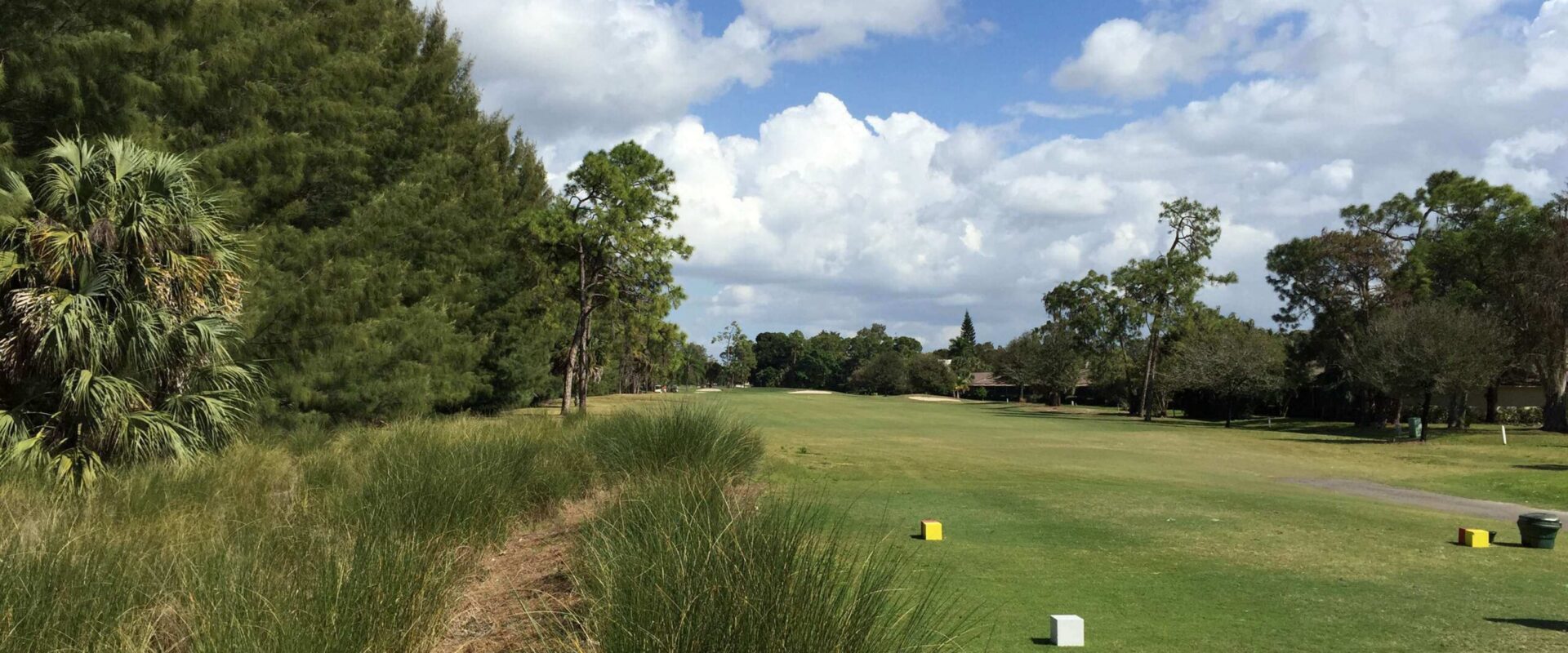 Beautiful course views and holes at Quail Run Golf Club located in Southwest Florida