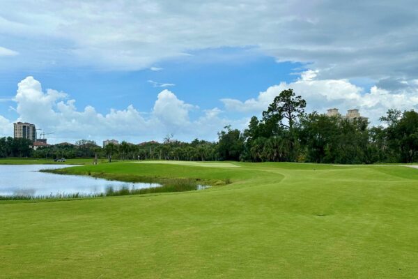Saltleaf Golf Preserve