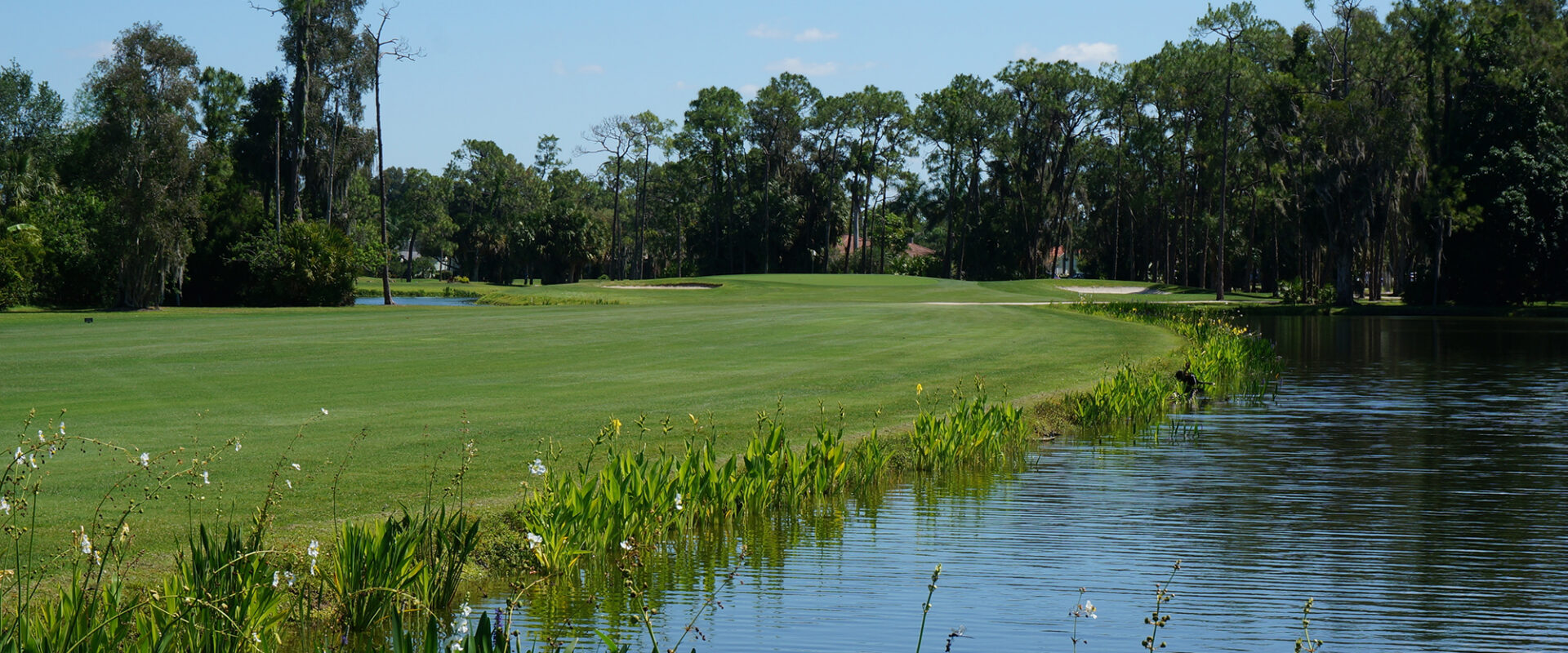 Beautiful course views and holes at Eagle Ridge Golf Club located in Southwest Florida