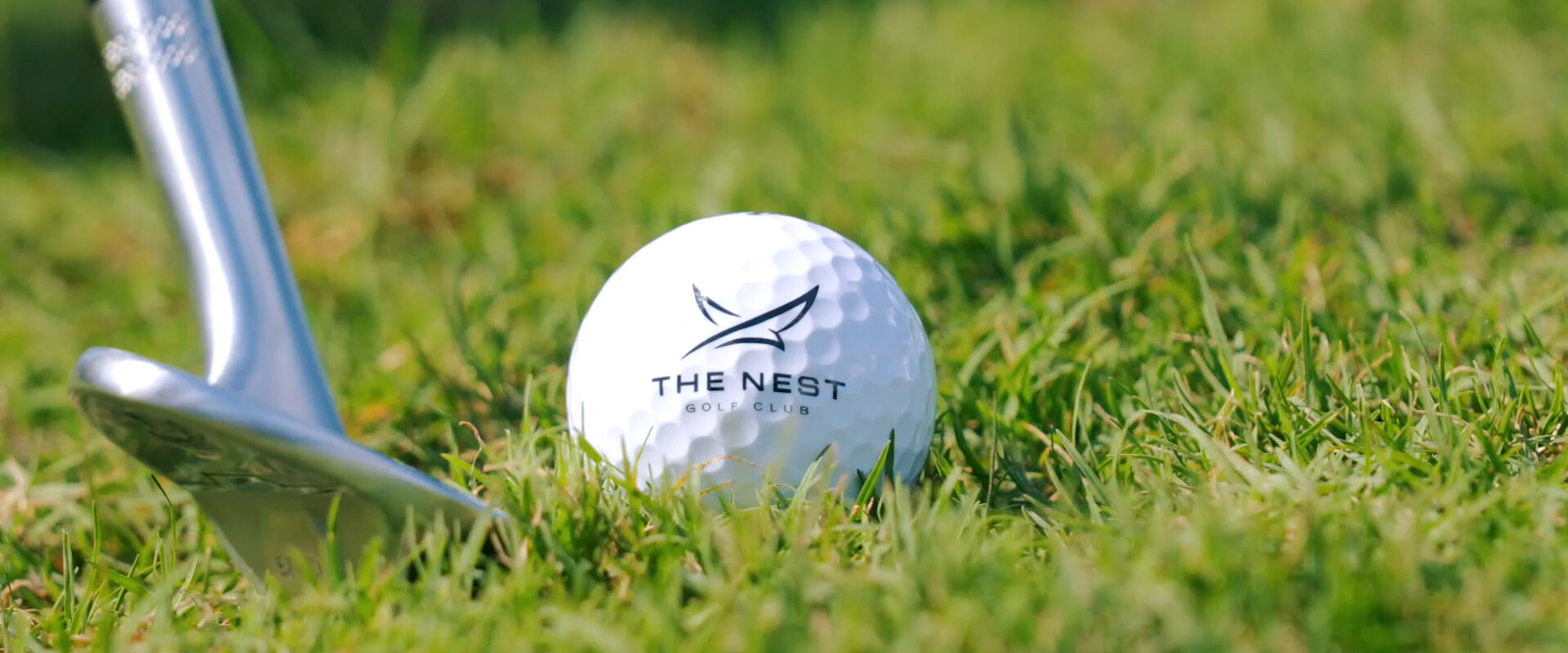 Beautiful course views and holes at The Nest Golf Club (Pelican Landing) located in Southwest Florida