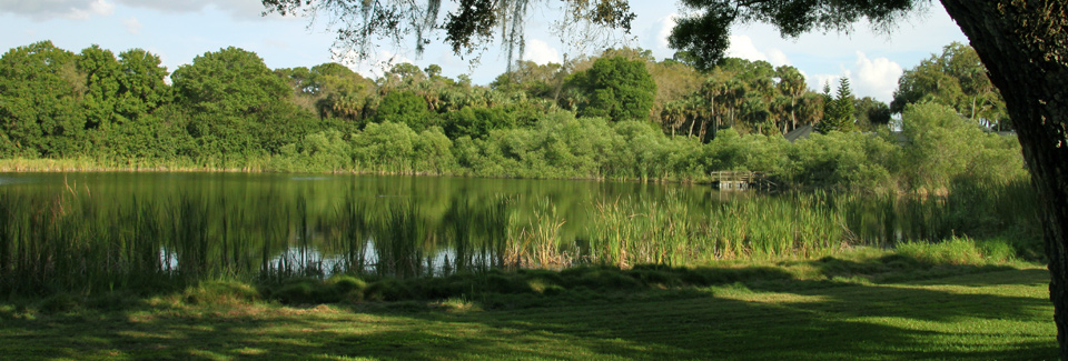 Beautiful course views and holes at Lehigh Resort Club located in Southwest Florida
